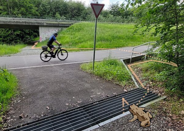 Die Sicherung einer ausreichenden Mobilität in unserer heutigen Kultur- und Verkehrslandschaft ist eine anspruchsvolle Aufgabe und erstreckt sich auch auf die Tierwelt (Foto: J. Trautner, Illustration: J. Geigenmüller).